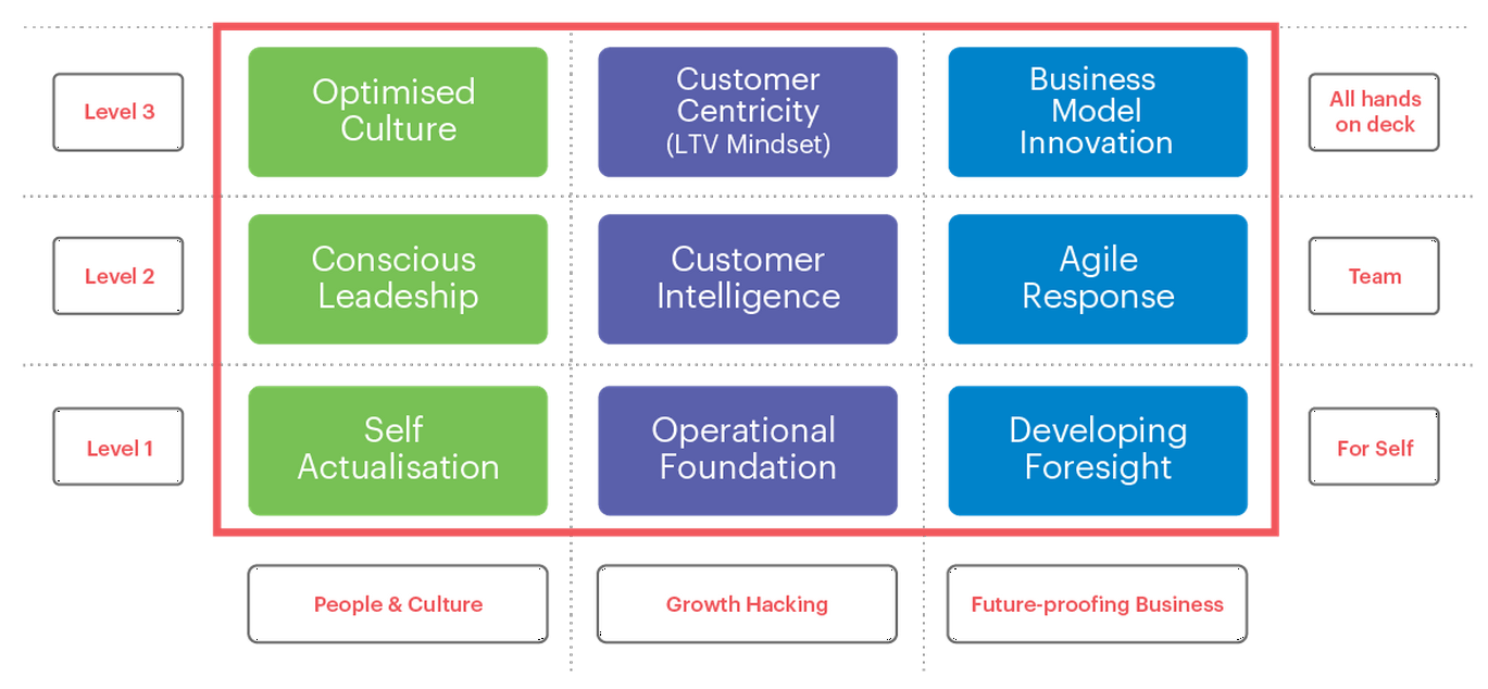 business model research past present and future